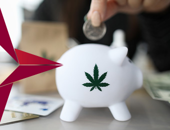 Can You Invest in Cannabis With an IRA?